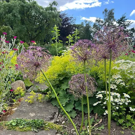 Woodward Appleton le Moors