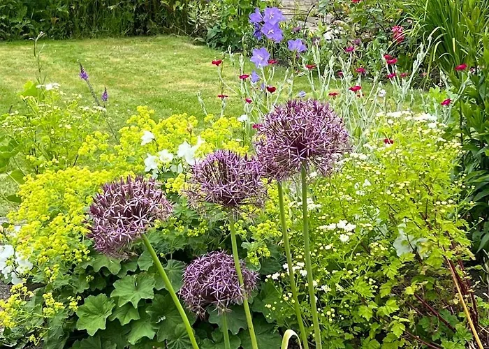 Bed & Breakfast Woodward 4*