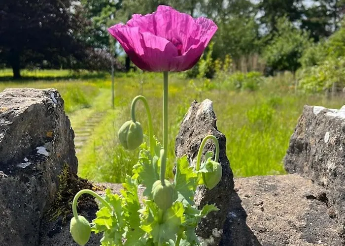 Woodward Bed & Breakfast