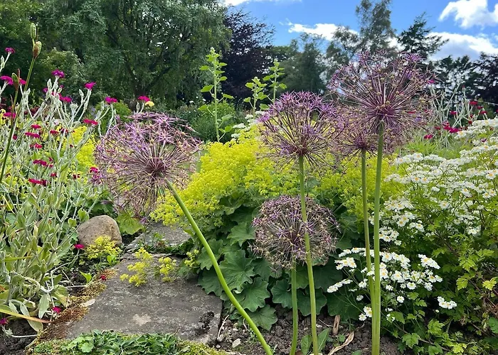 Woodward Appleton le Moors