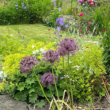 Oda ve Kahvaltı Woodward 4*