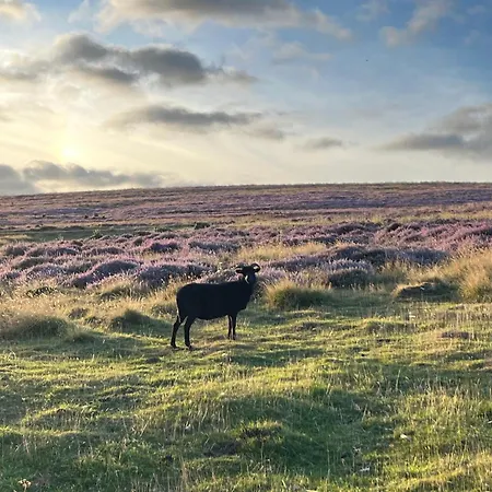 Woodward Oda ve Kahvaltı Appleton le Moors