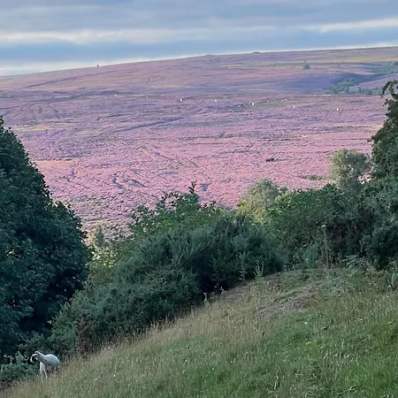 Oda ve Kahvaltı Woodward Appleton le Moors