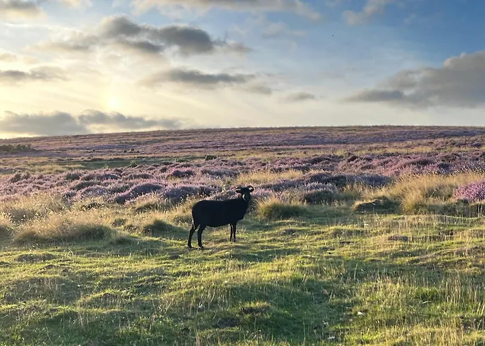 Woodward Bed & Breakfast Appleton le Moors