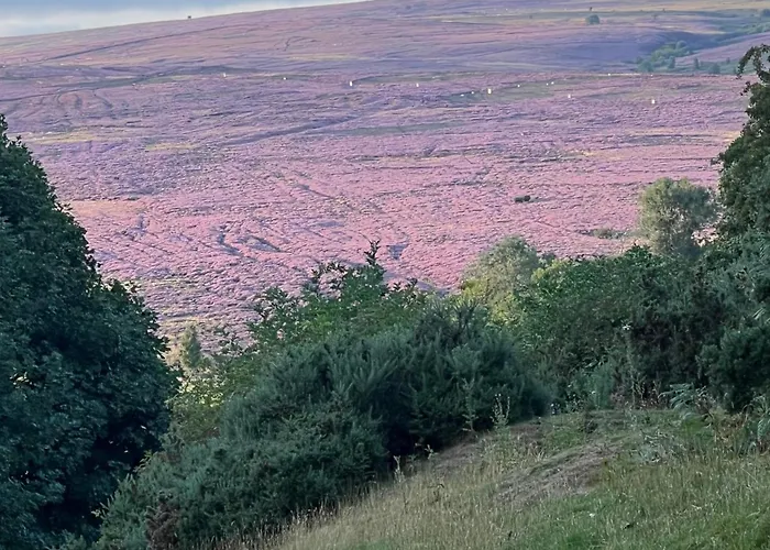 Bed & Breakfast Woodward Appleton le Moors